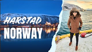 Harstad  Norway  Tromso Cruise [upl. by Eedna]