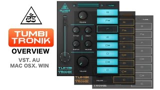 Tumbi Tronik vst au  Overview [upl. by Ahsiad]