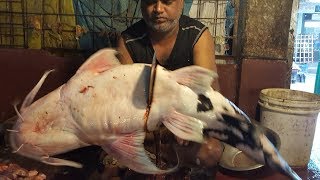 Dwarf Goonch Wallago amp Two Pangas Fish Cut Into Pieces in Fish Market By Fishmonger 2017 [upl. by Nirret]