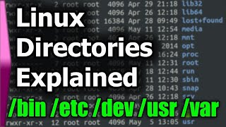 Linux File SystemStructure Explained [upl. by Mir92]