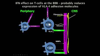 13 Quick Reviews CNS Demyelinating and Dysmyelinating diseases [upl. by Assenat]