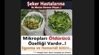 ŞEKER HASTALIĞINI BİTİRİYOR [upl. by Ahsino]