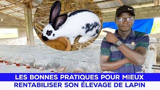 LA BONNE TECHNIQUE POUR RENTABILISER SON ÉLEVAGE DE LAPIN [upl. by Augustine]