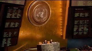 UN General Assembly backs Arab League Syria plan [upl. by Collimore]