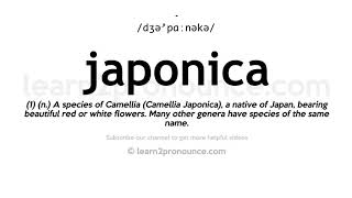 How to pronounce Japonica  English pronunciation [upl. by Nittirb]