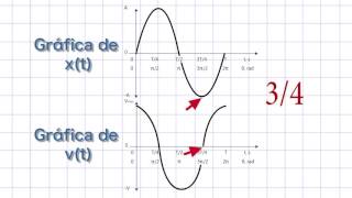 Gráficas Movimiento Armónico simple [upl. by Lolanthe]