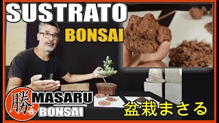 SUSTRATO PARA BONSAI SUPER FÁCIL  TODO LO QUE TENES QUE SABER Y MAS [upl. by Ybhsa]