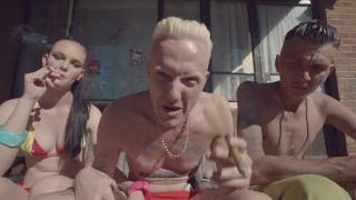 DIE ANTWOORD  BABYS ON FIRE OFFICIAL [upl. by Kavanagh]