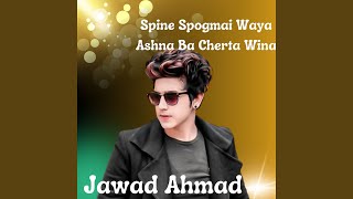 Spine Spogmai Waya Ashna Ba Cherta Wina [upl. by Laidlaw]