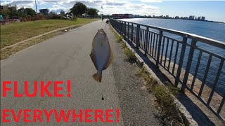 FLUKE EVERYWHERE Exit 5 Belt Parkway Morning Fishing Sept 30th 2021 [upl. by Vaughn]