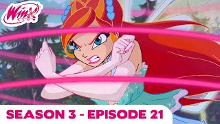 Winx Club  FULL EPISODE  The Red Tower  Season 3 Episode 21 [upl. by Onitnevuj]