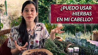 Las Mejores Hierbas para el Cabello y sus Beneficios  un té con Daniela [upl. by Luttrell]