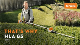 STIHL HLA 85  Longreach hedge trimmer with telescopic shaft I Thats why [upl. by Demodena]