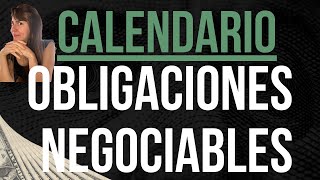 OBLIGACIONES NEGOCIABLES ingresospasivos en dolares CALENDARIO 2023 [upl. by Irahs]