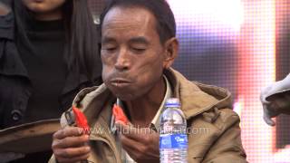 Look at this daring man eat hordes of King Chilly in Nagaland [upl. by Ela471]