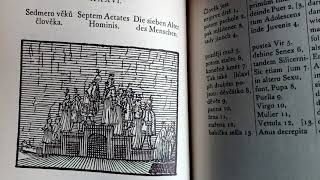 orbis pictus septem aetatesseven stages of human life in the 17century textbook JAComenius [upl. by Ecienal593]