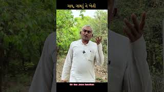 ગાય આધારિત જૈવિક ખેતી [upl. by Aihcropal]