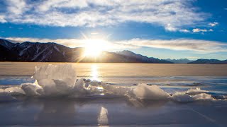 A Wedding at Pangong  Winter in Ladakh  Episode 4 [upl. by Sikram]