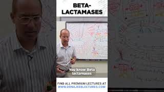 Beta Lactamases drnajeeb drnajeeblectures shortvideostatus [upl. by Haronid509]