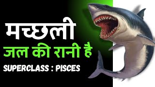 Kingdom Animalia  Superclass  Pisces  Osteichthyes and Chondrichthyes Biology class 11 [upl. by Pelligrini]