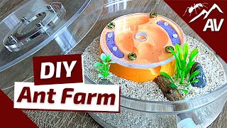 How to Build an Ant Farm  Plaster All in One Formicarium [upl. by Attaymik]