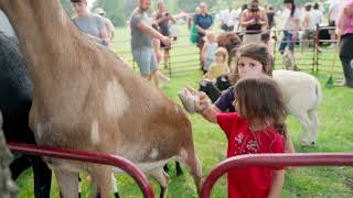 Portland Multicultural Kids Festival [upl. by Manny681]