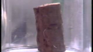 A Sample Of Cork In A Vacuum [upl. by Alic]