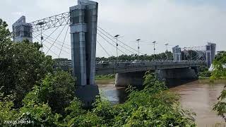 pladu sungai brantas 2024 di jembatan brawijaya kediri pladu [upl. by Aenotna]