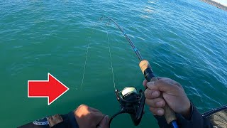 JIGGING THE DETROIT RIVER FOR FALL WALLEYE  DETROIT RIVER FISHING [upl. by Charline271]