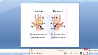 Tropane alkaloids Lec 3 عقاقير مرحلة ثالثة صيدلة تقويمي [upl. by Letta]