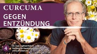 Omega Schwarzkümmel und Curcumin bei Entzündungen im Körper  Dr Med Ingfried Hobert  Podcast 4 [upl. by Shore]