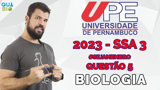 UPE 2023  SSA 3  Questão 5  O sol pode ser o grande vilão no dia a dia de portadores de Xeroderma [upl. by Ataeb]