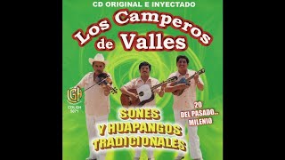 Los Camperos de Valles  El Querreque [upl. by Legyn]