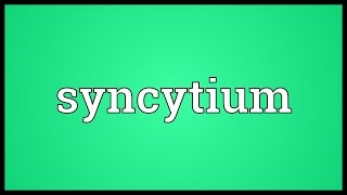 Syncytium Meaning [upl. by Asilahs]