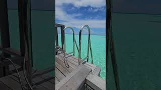 WATER Bungalow Your overwater villa in maldives lemeridien [upl. by Madalyn]