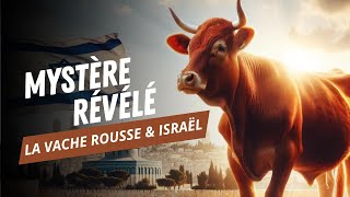 LE SACRIFICE DE LA VACHE ROUSSE EST PROCHE [upl. by Elleyoj]