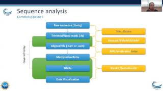 Webinar Epigenetics Part I – Bisulfite Sequence Analysis and Adenosine to Inosine Modifications [upl. by Pesvoh]