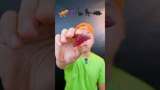 Makan Gummy Dinosaur🦖 asmr mukbang makansesuaiemoji videomakan dinosaurus [upl. by Handy]