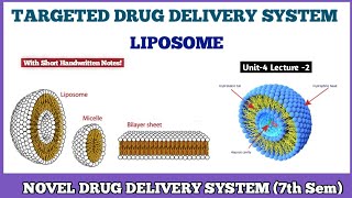 LIPOSOME  Targeted Drug Delivery System TDDS  Novel Drug Delivery System 7th semester [upl. by Coulter]