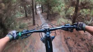 Riding at Traralgon pines The Down Hill  Lachies Track [upl. by Colver768]