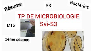 TP de MicrobiologieS32ème séanceRésuméCulture bactérienneMilieu de KliglerBiologiefsrSVIGram [upl. by Brock433]