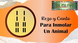 Rezo y canto para inmolar un animal [upl. by Aralomo]