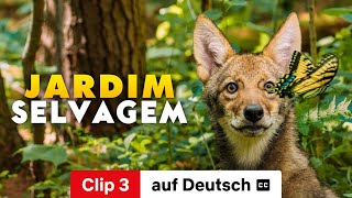 Die Wildnis um uns herum Clip 3 mit Untertitel  Trailer auf Deutsch  Netflix [upl. by Luap]