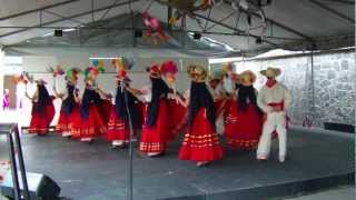 Baile de Michoacan [upl. by Braynard195]