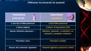 Lezione 20  RNA polimerasi [upl. by Josephson]