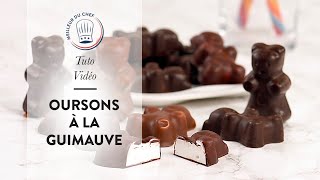 Tuto Recette  Oursons à la Guimauve Nounours Guimauve [upl. by Rowena784]