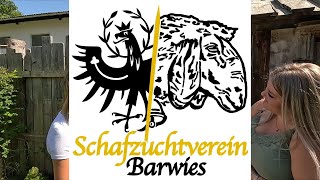 80 Jahre Schafzuchtverein Barwies  Jubiläumssausstellung Verpflegung [upl. by Maggio]