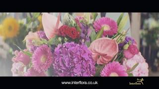 Interflora  The Flower Experts [upl. by Gebhardt]