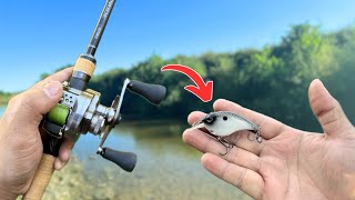 BFS Crankbait Fishing [upl. by Ykciv900]