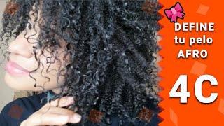 COMO DEFINIR CABELLO AFRO 4C4B CON TECNICA DE WASH ANG GO de afro a rizos Quieroesosrizo [upl. by Oza]